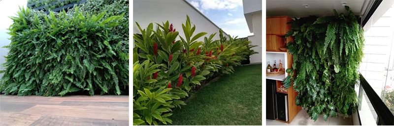 lojaPlantaAtiva